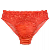 Silk Transparent Panelled Pouch Panties - Cissify